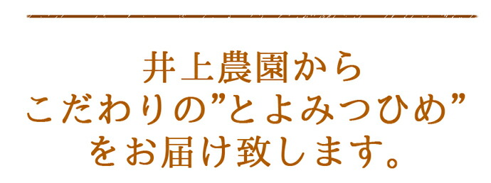 ������ࡡ��������