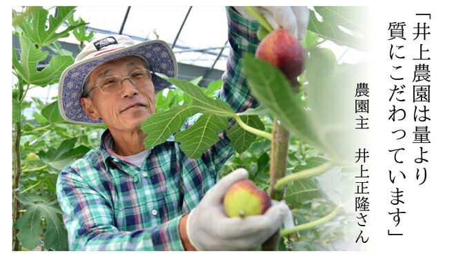 ������ࡡ��������