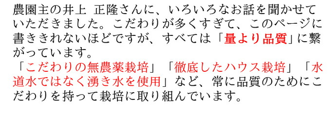 ������ࡡ��������