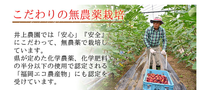 ������ࡡ��������