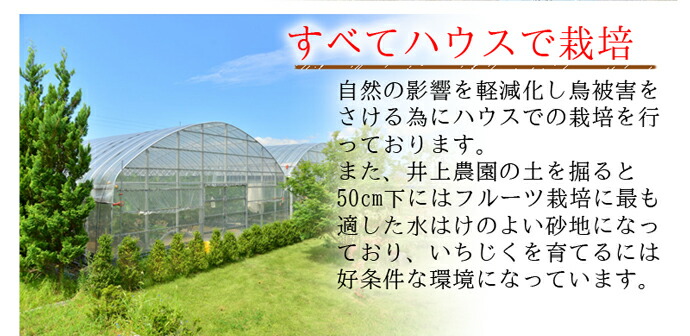 ������ࡡ��������