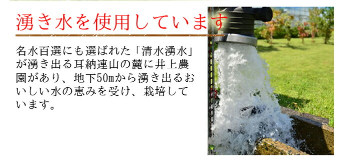 ������ࡡ��������