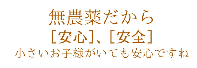 ������ࡡ��������