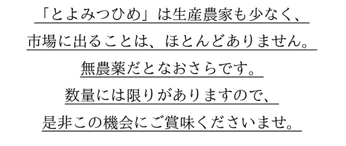 ������ࡡ��������