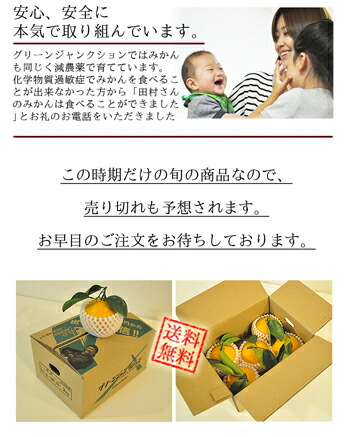 八朔合馬 しまなみ】八朔缶詰 | 【BEMAC公式通販】えひめ自然の恵みギフト