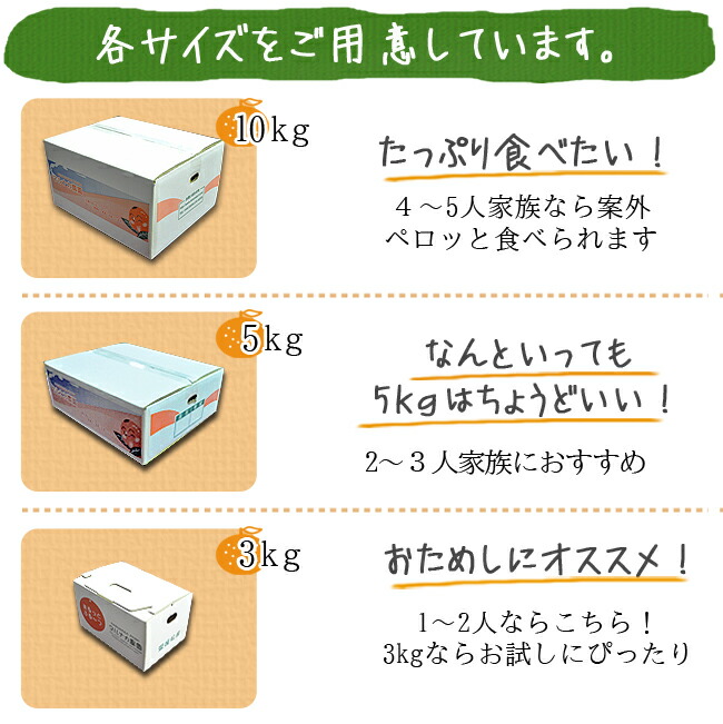いよかん 20kg 訳あり 伊予柑 みかん 送料無料 愛媛 秀品 業務用