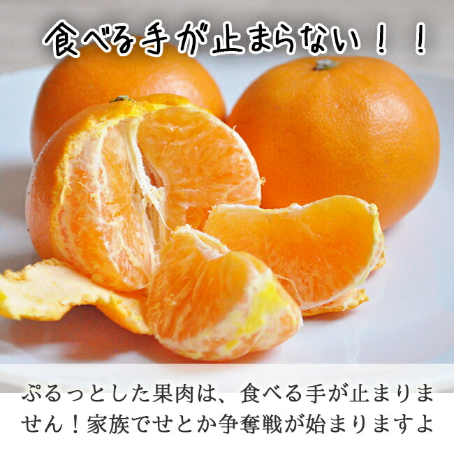 せとか(家庭用)10Kgのお取り寄せ販売(通販)送料無料でお届け せとか(家庭用)10Kgのお取り寄せ販売(通販)送料無料でお届け