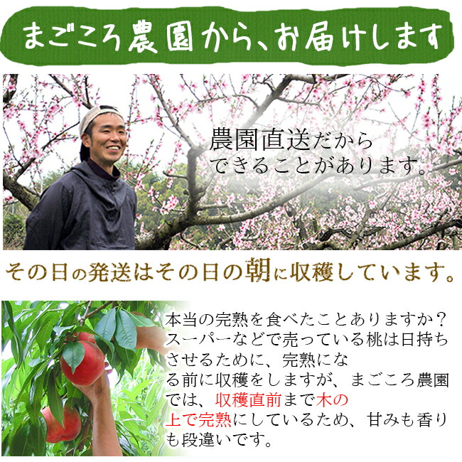 桃 和歌山 訳あり お取り寄せ販売（通販） 農園直送 農家直送