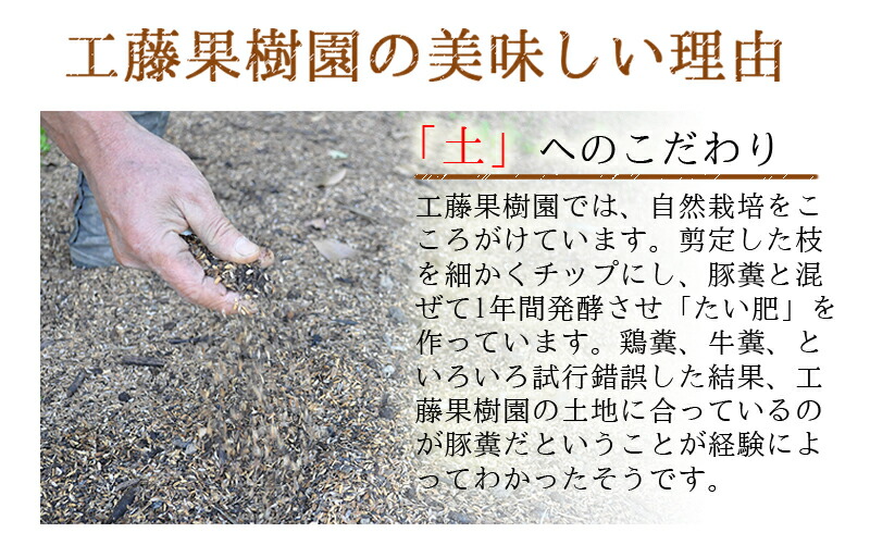 7�� �Ƥ����ִ���