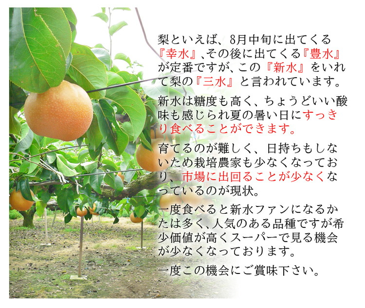 7�� �Ƥ����ִ���