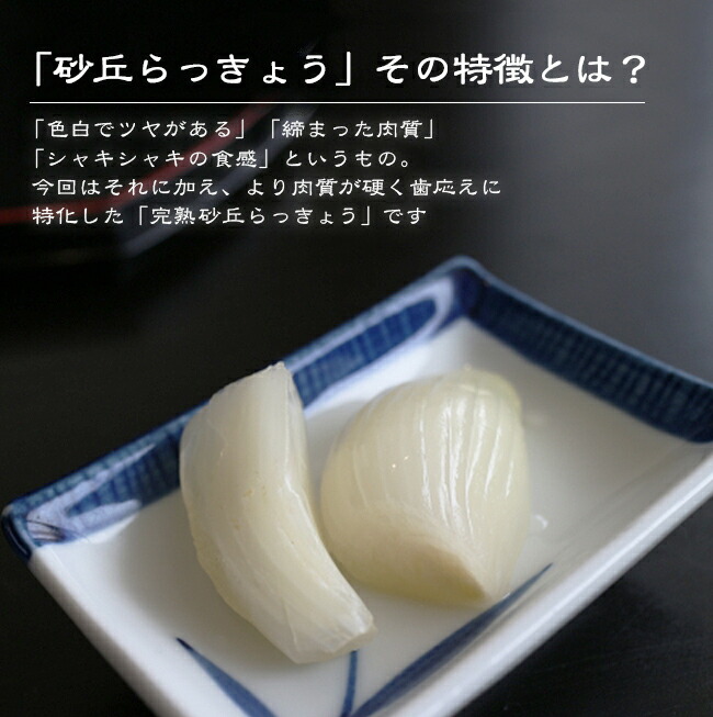 生らっきょう 砂丘らっきょう お取り寄せ 通販 土付き（砂付き