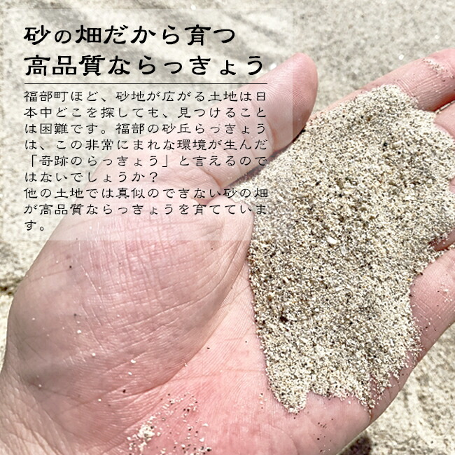 ���֤�ä��礦 �� ���դ�