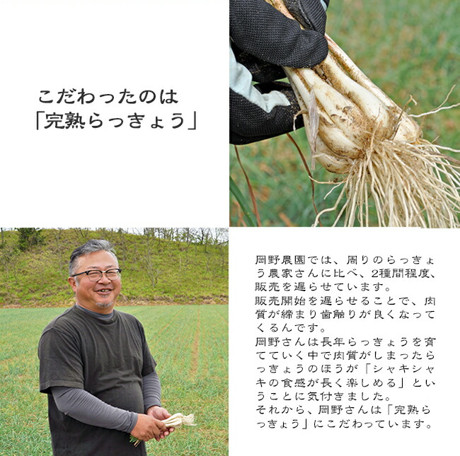 ���֤�ä��礦 �� ���դ�