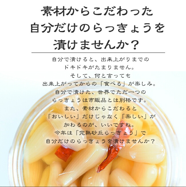 ���֤�ä��礦 �� ���դ�